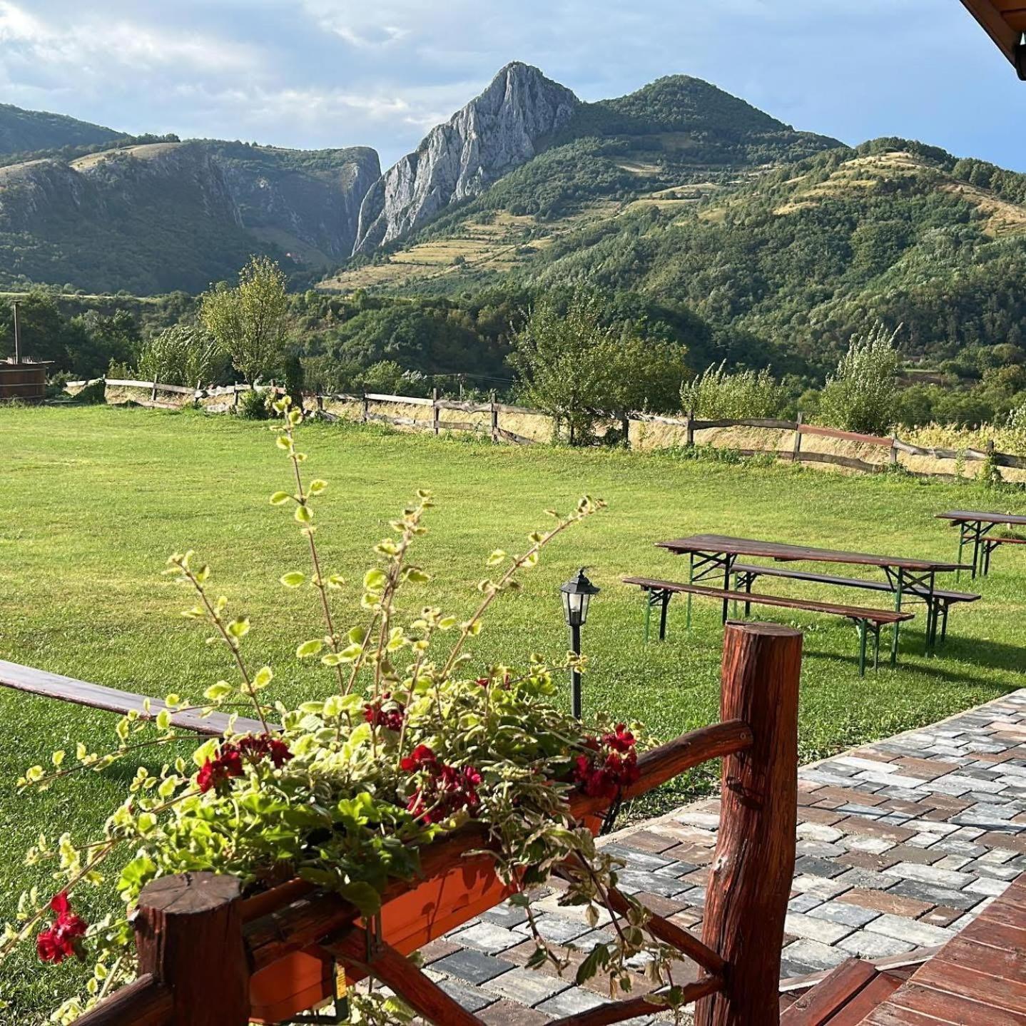 Pensiunea Bodrogeni Poiana Aiudului Exteriér fotografie