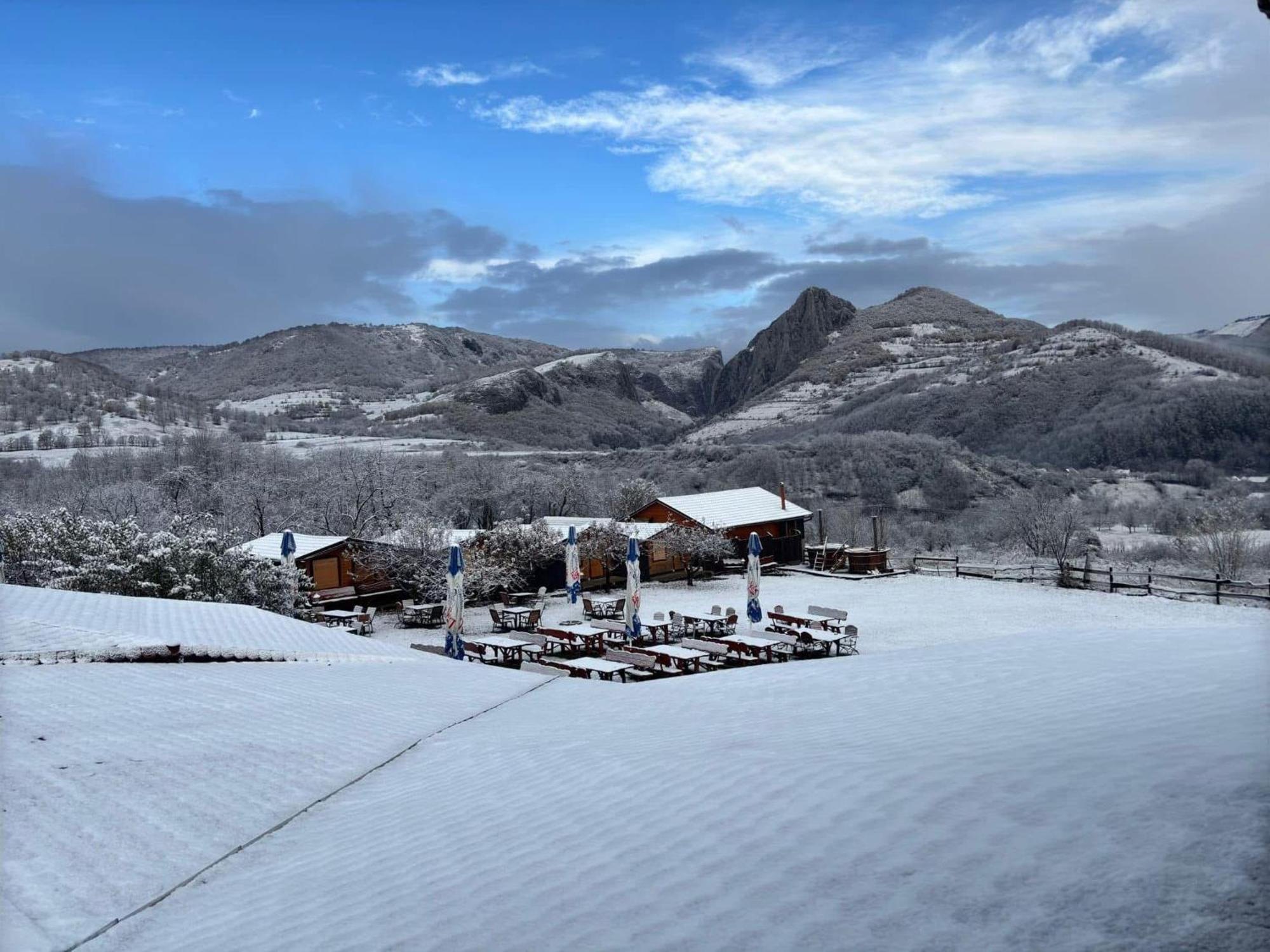 Pensiunea Bodrogeni Poiana Aiudului Exteriér fotografie